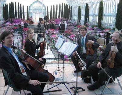 Wedding Receptions on Quartet Plays For A Wedding Ceremony Como Park Conservatory St Paul Mn